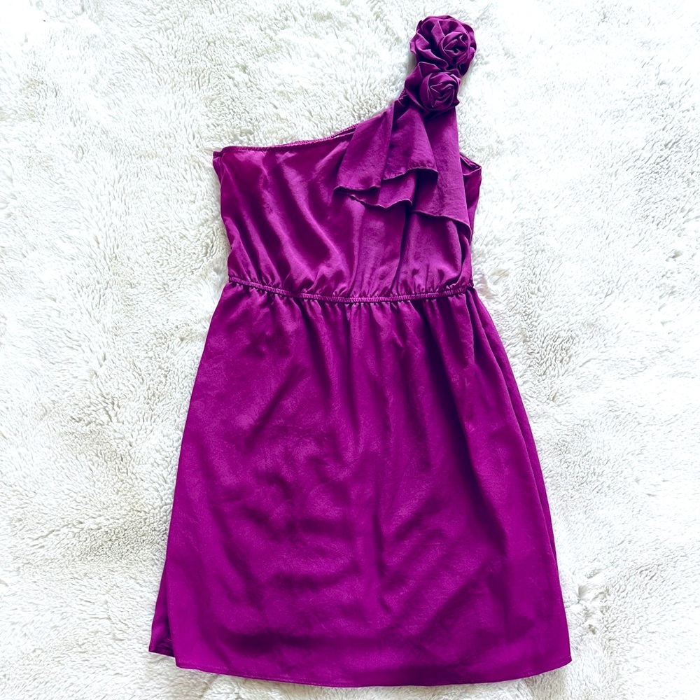 Fuscia One Shoulder Dress